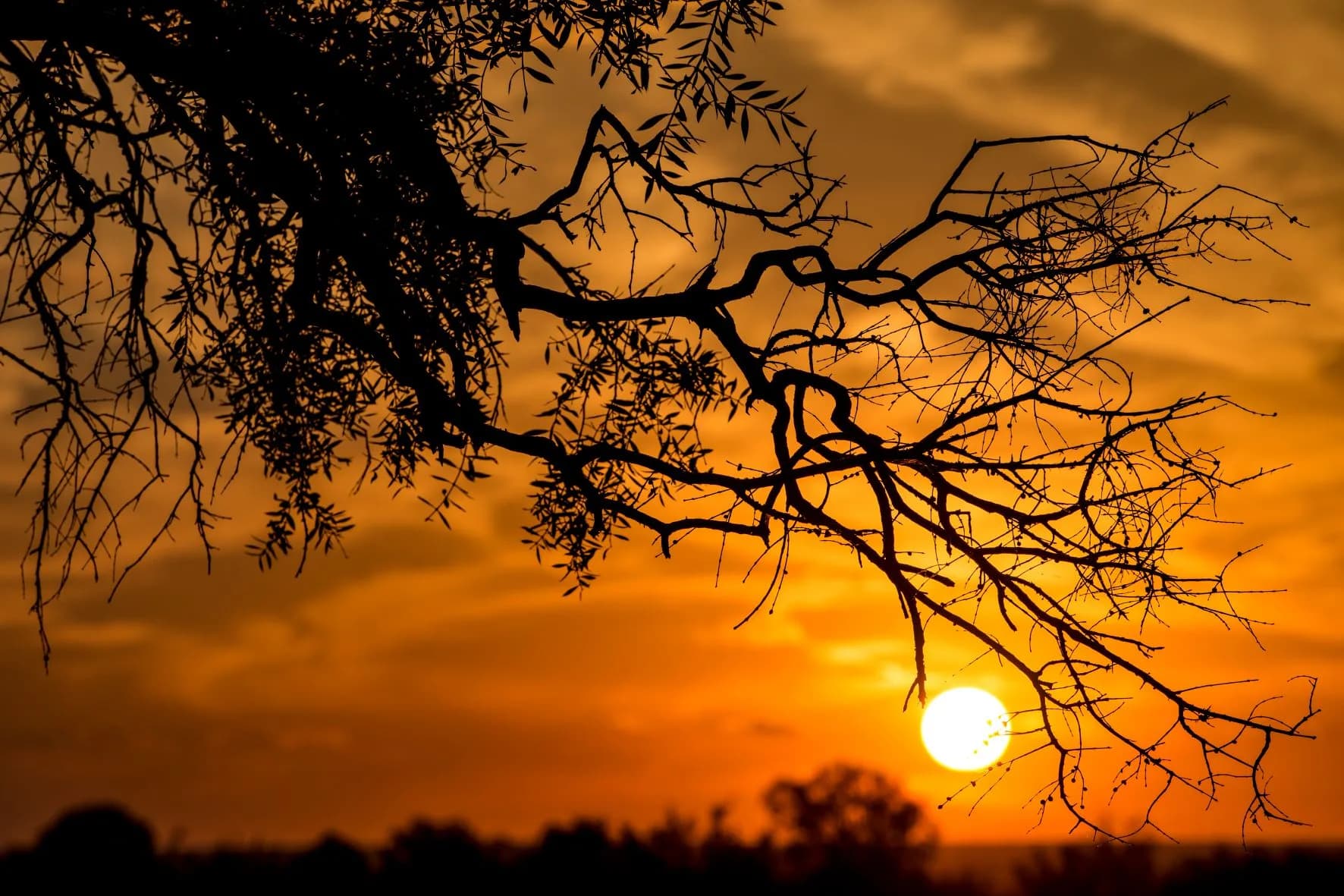 Será un jueves ventoso, pero con sol y temperatura primaveral