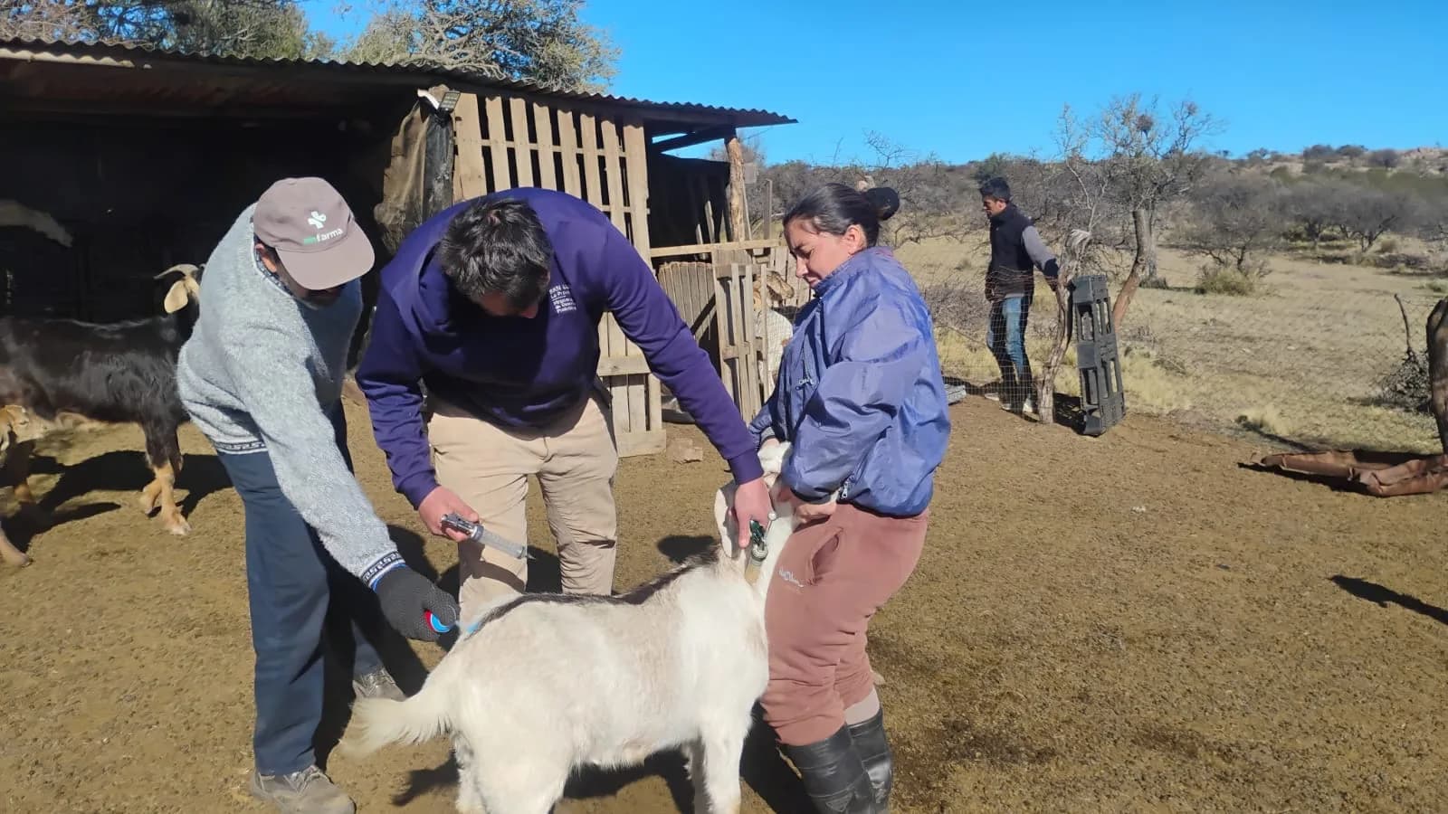 Brindaron asistencia sanitaria en establecimientos del departamento Chacabuco y San Martín