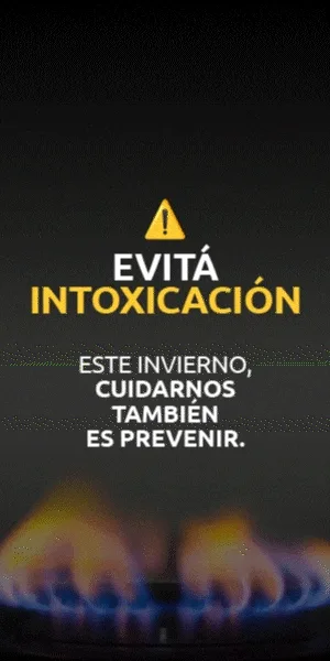 Monoxido de Carbono
