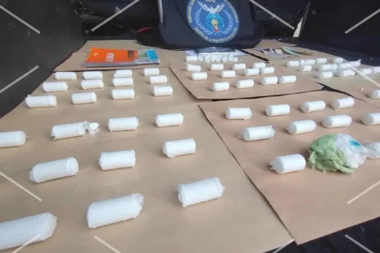 Incautaron “tizas” de cocaína valuadas en $22 millones y detuvieron a dos hombres en San Luis.