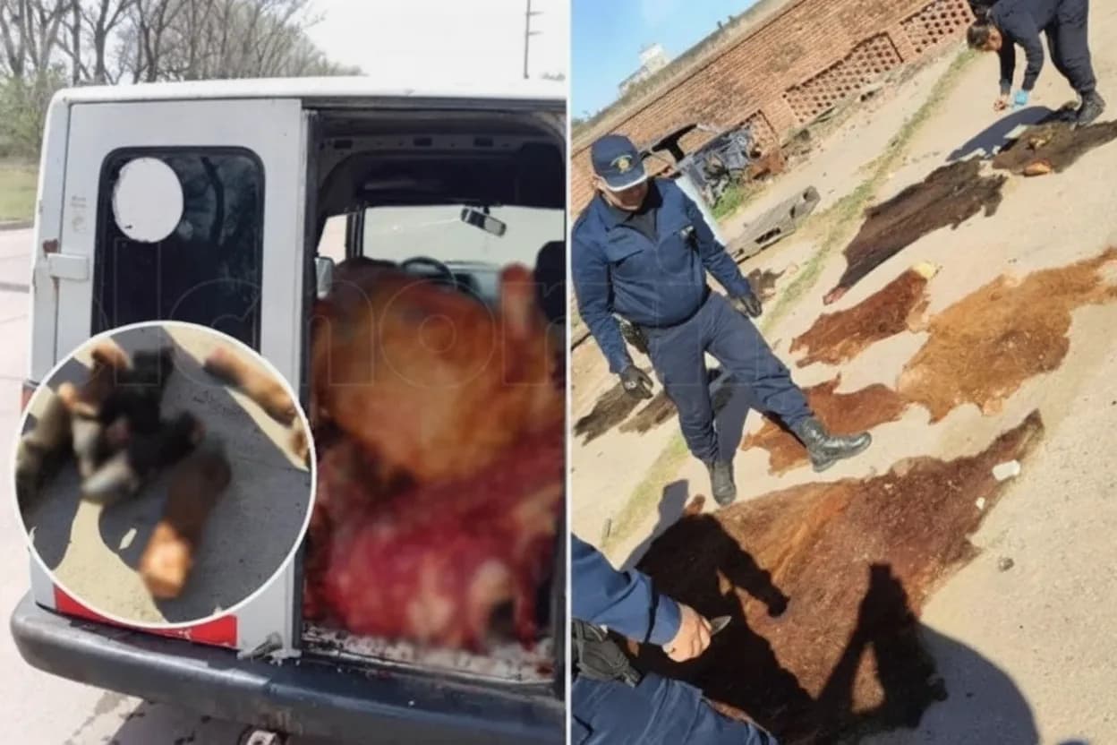La Policía esclareció un abigeato, la Justicia liberó a los implicados y crece el malestar rural.