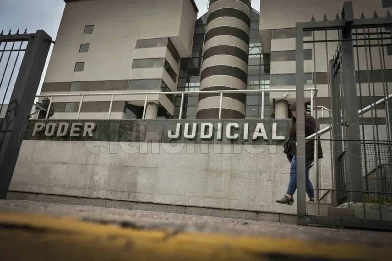 La Justicia formuló cargos contra una mujer por maltrato animal.