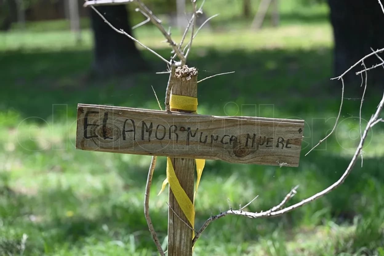 "Monte bebè", el espacio para enterrar animales que hay en Villa Mercedes.