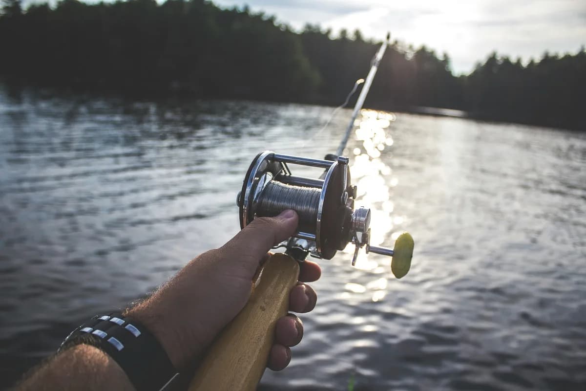 Establecieron el periodo de la veda de pesca de pejerrey