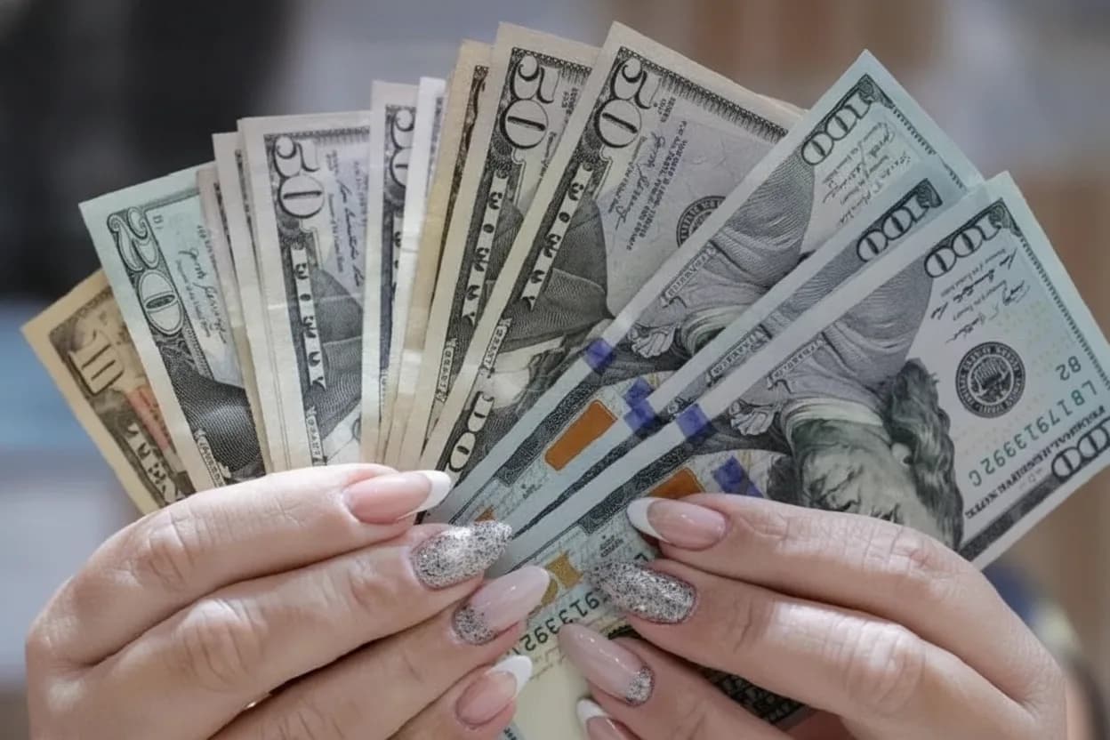 El total de personas que adquirió divisas en el mercado oficial alcanzó los 1,7 millones, según el Balance Cambiario del Banco Central.