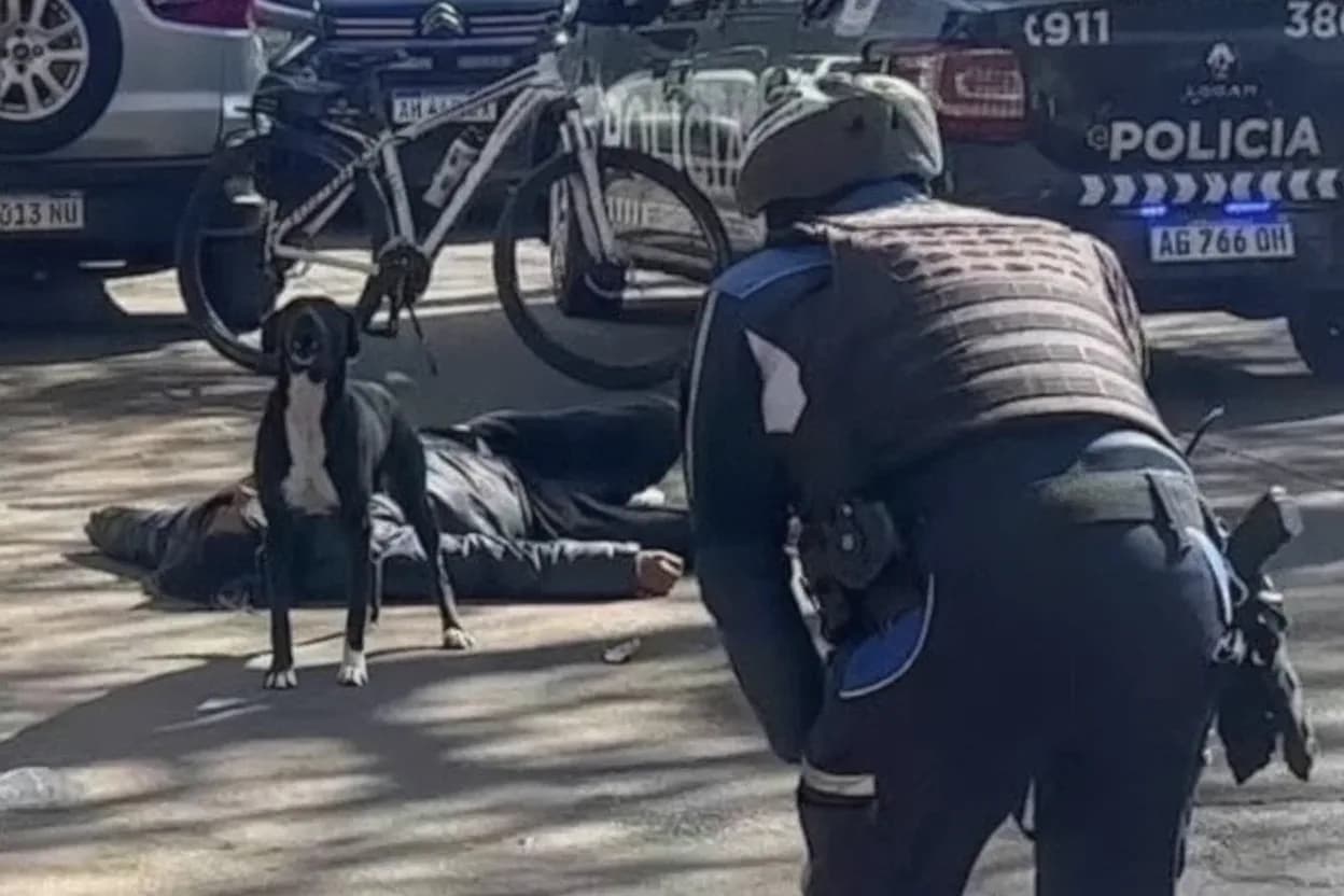 El episodio ocurrió un martes por la mañana en el centro de Mendoza: tres móviles policiales y un vehículo de Tránsito Municipal acudieron al lugar, pero el animal mordió a uno de los agentes que intentó esquivarlo para llegar hasta el hombre tendido en la vía pública.