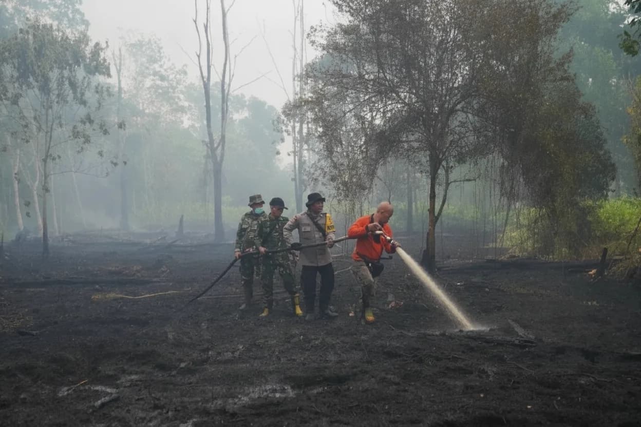 Un Súper Niño podría causar más de 450.000 muertes debido al calor.