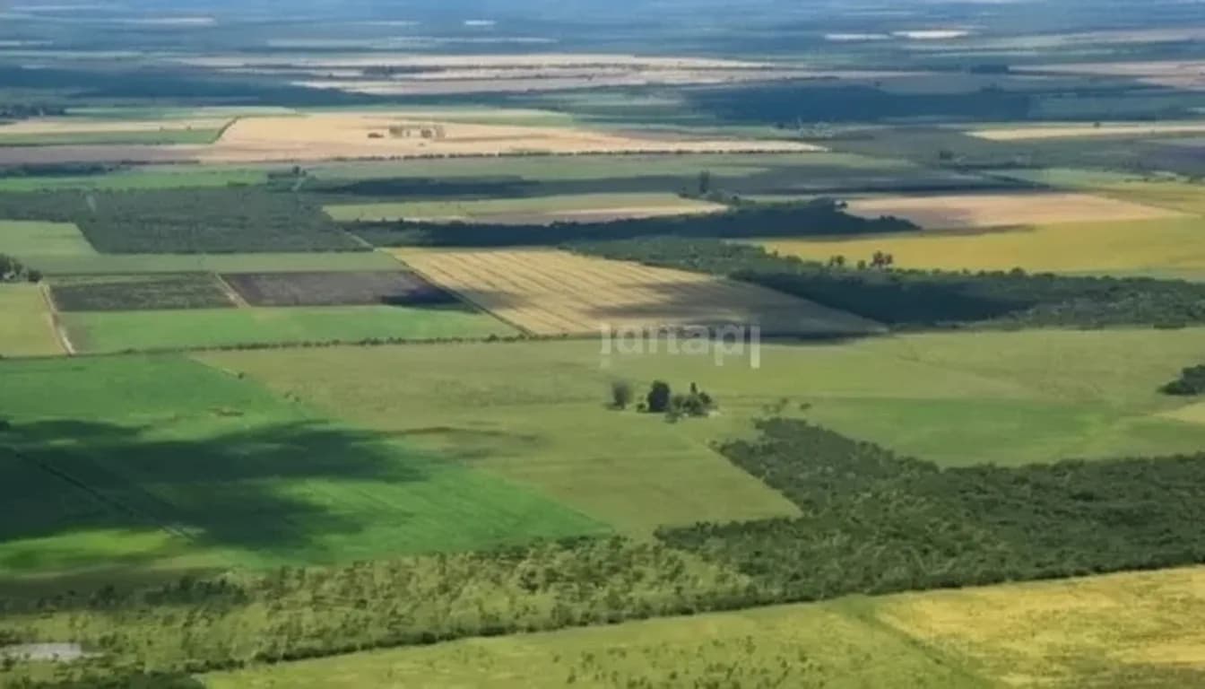 La Corte revocó el fallo que declaraba inconstitucional la derogación de la Ley de Tierras.
