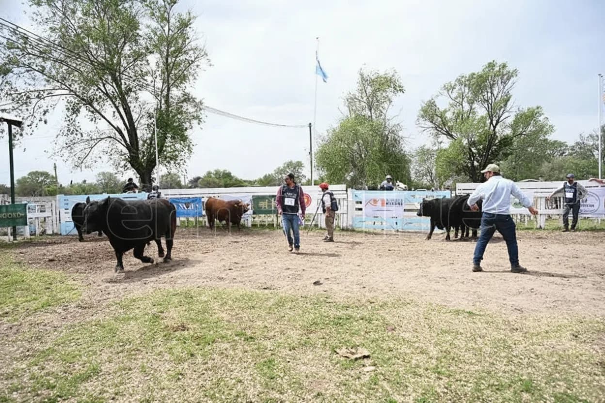 Comenzó la Expo Ruralde Villa Mercedes.