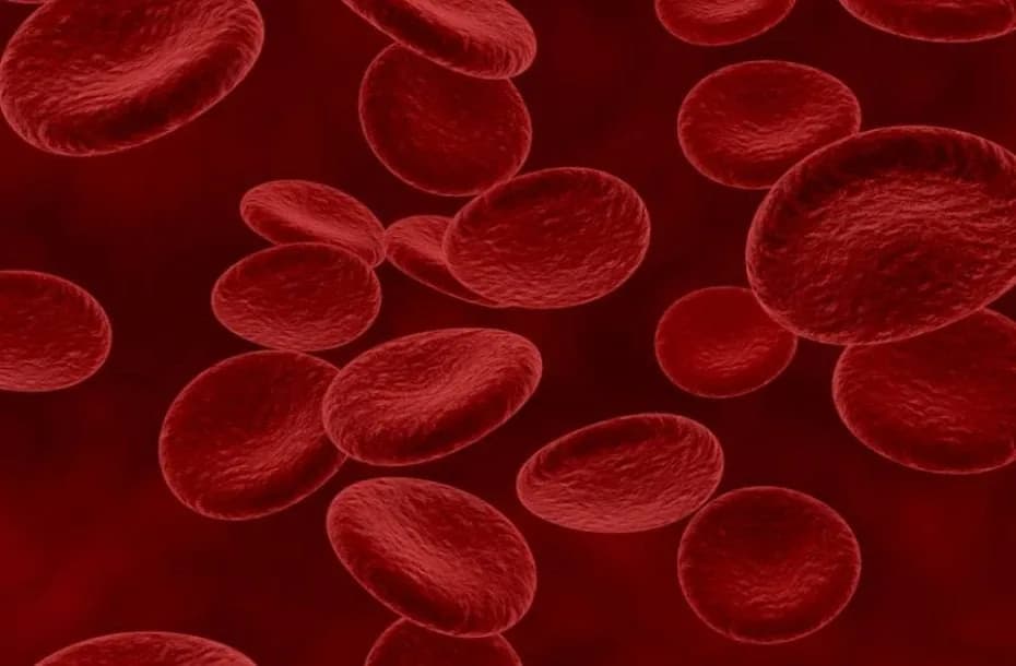 Es un tipo de cáncer que afecta la producción normal de las células sanguíneas.