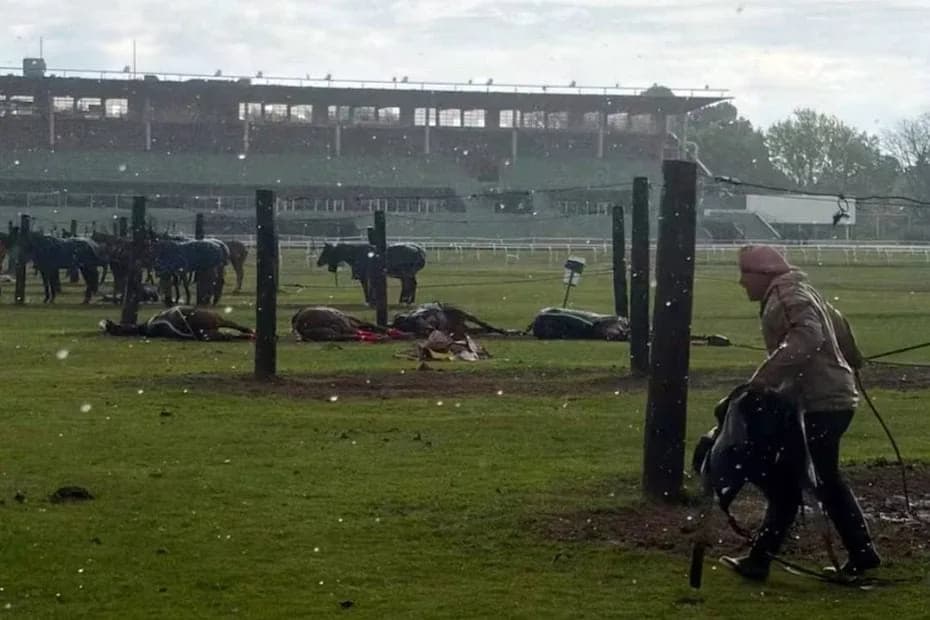 Las muertes ocurrieron cuando un rayo impactó en el suelo mientras se desarrollaba una práctica.